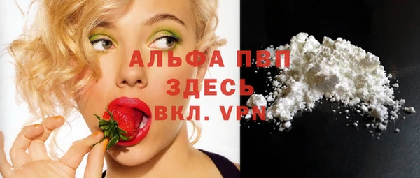 сатива Аркадак